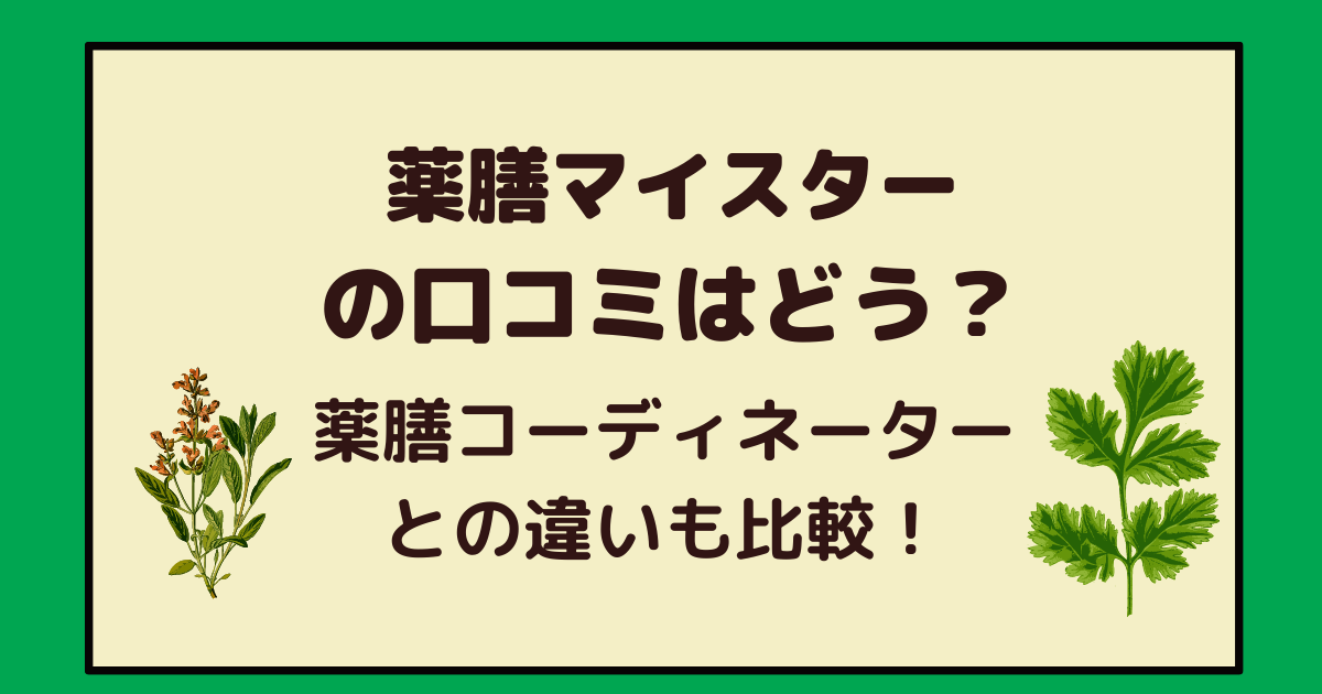 がくぶん 薬膳マイスターの口コミはどう 薬膳コーディネーターとは何が違うの アラフォー主婦と暮らしを豊かにする資格