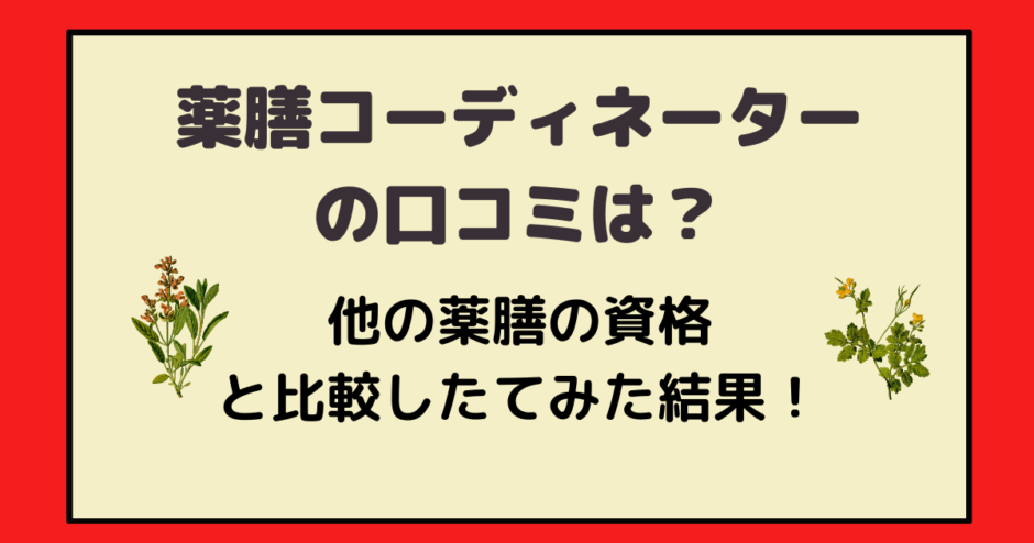 ユーキャン薬膳コーディネーターの口コミはどう 評判や他の薬膳資格と比較してみた結果 アラフォー主婦と暮らしを豊かにする資格